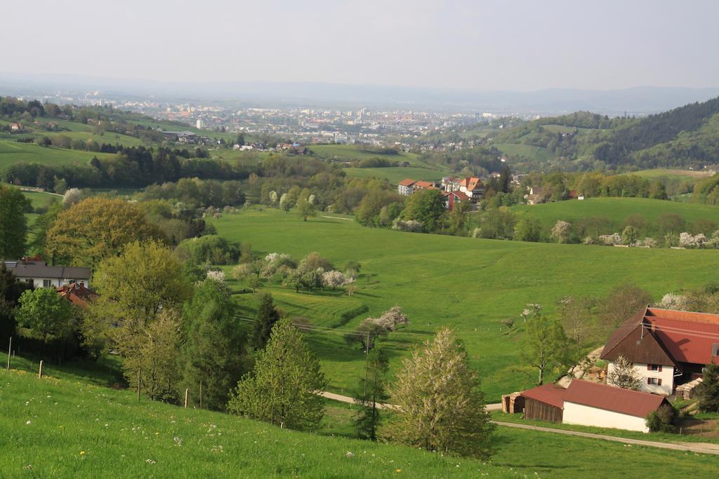 Luxus Appartement Schwarzwald Bei Freiburg 4 Schlafzimmer Sauna Solden Ruang foto