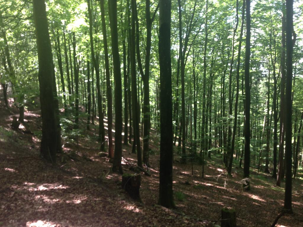 Luxus Appartement Schwarzwald Bei Freiburg 4 Schlafzimmer Sauna Solden Bagian luar foto